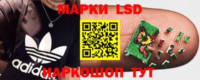 шишки Бузулук