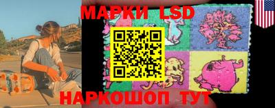 шишки Бузулук